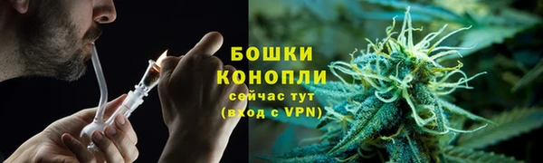 ALPHA-PVP Гусев