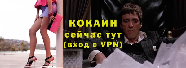 ALPHA-PVP Гусев