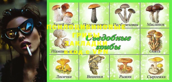 ECSTASY Гусиноозёрск