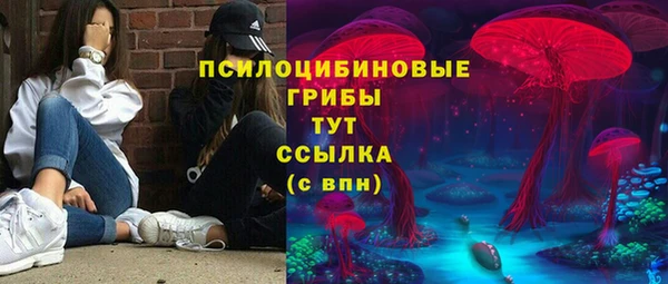 ALPHA-PVP Гусев