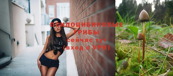 ECSTASY Гусиноозёрск
